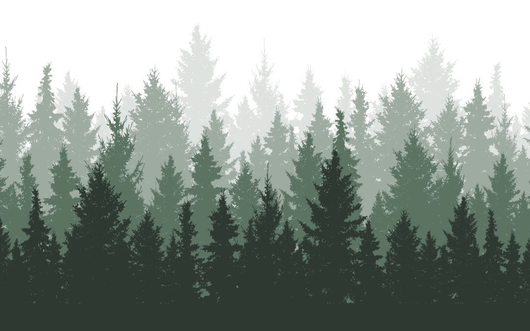 Graphic depicting a green forrest