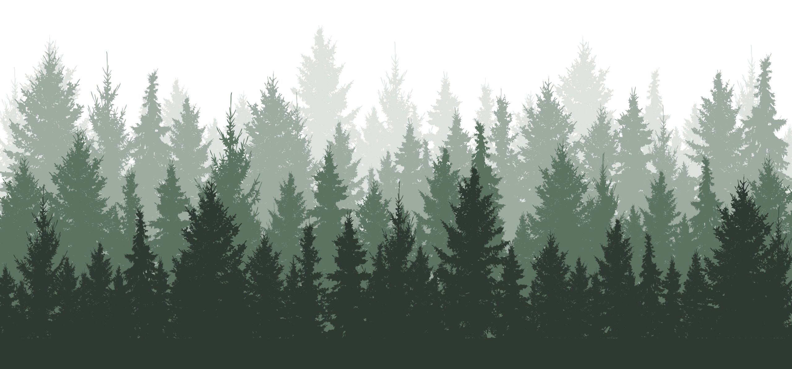 Graphic depicting a green forrest